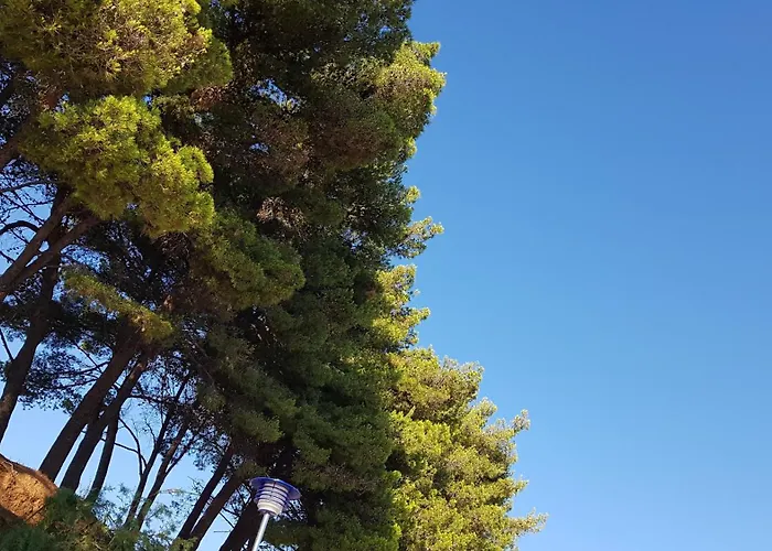 Апартаменты Maver *